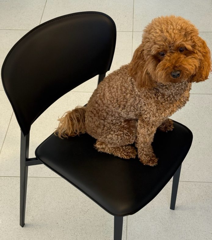 כסא רובי שחור